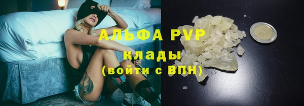 спиды Лабытнанги