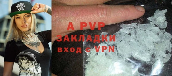 стаф Ладушкин