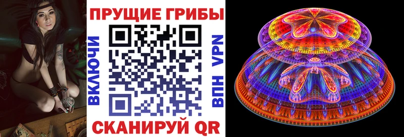 Псилоцибиновые грибы GOLDEN TEACHER  Оленегорск 